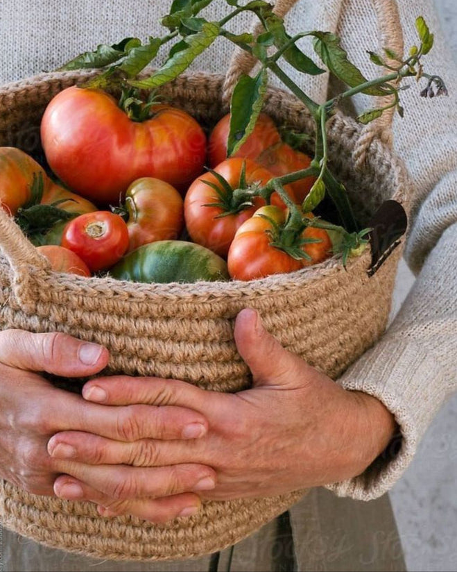 Zaphira Organic Farms