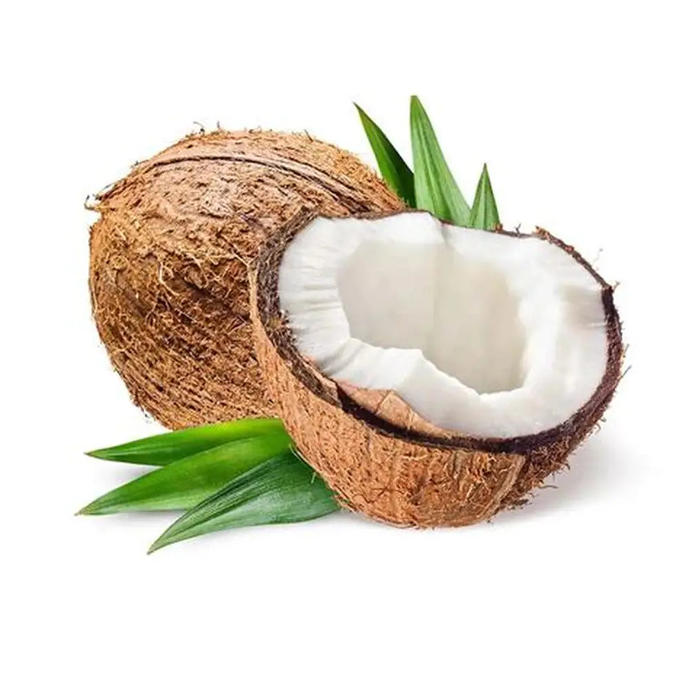 Coconut (Mature)