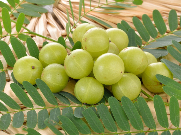 Amla (Indian Gooseberry)