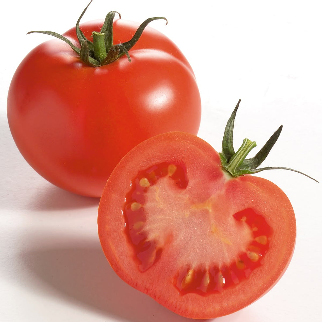 Zaphira Organic Farms