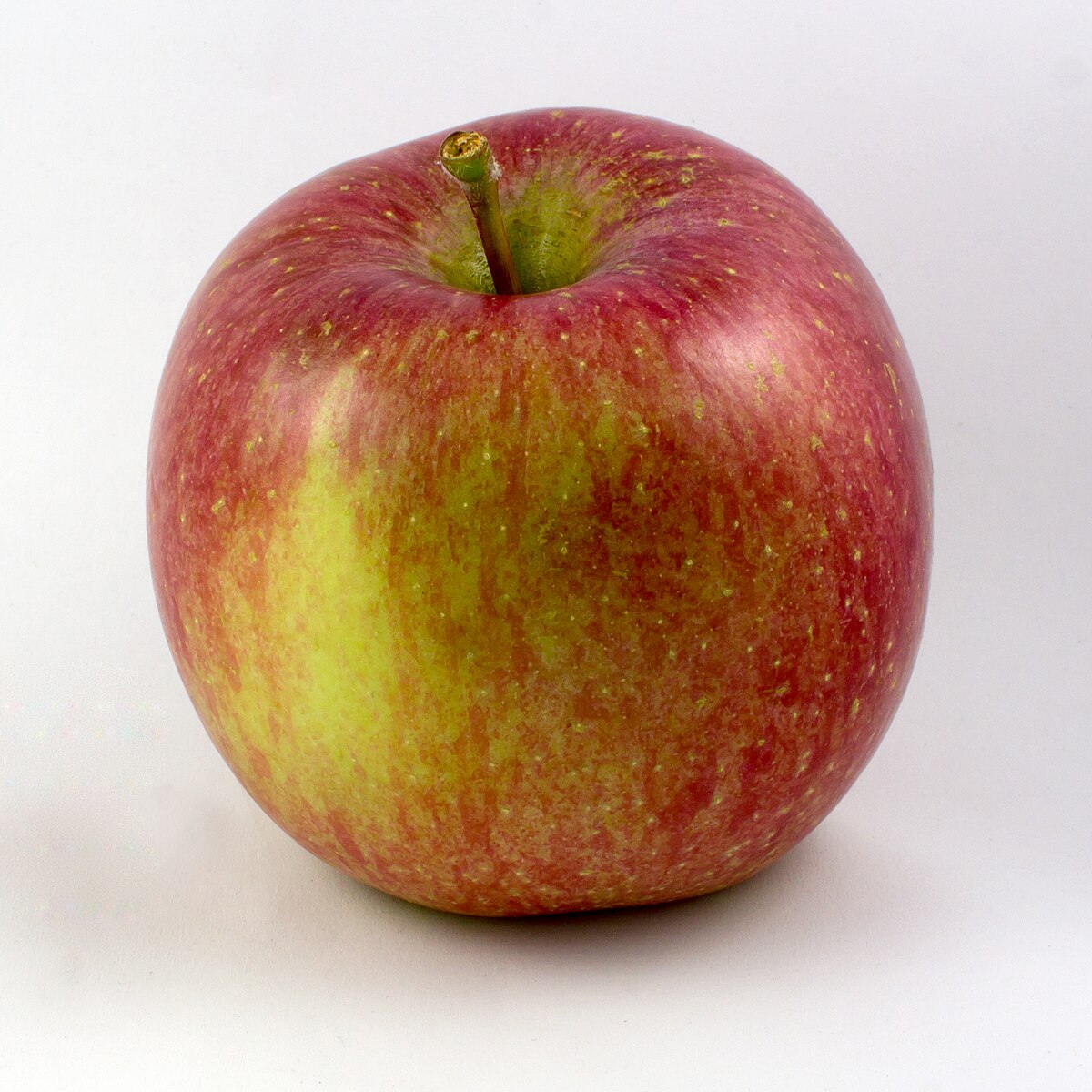 Apple Fuji