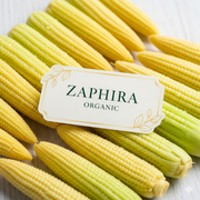 Baby Corn