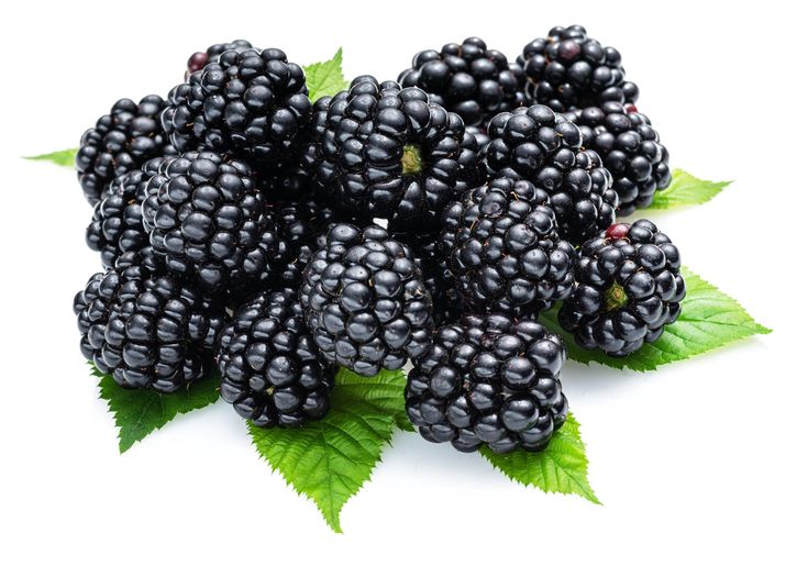 Blackberries box (125g)