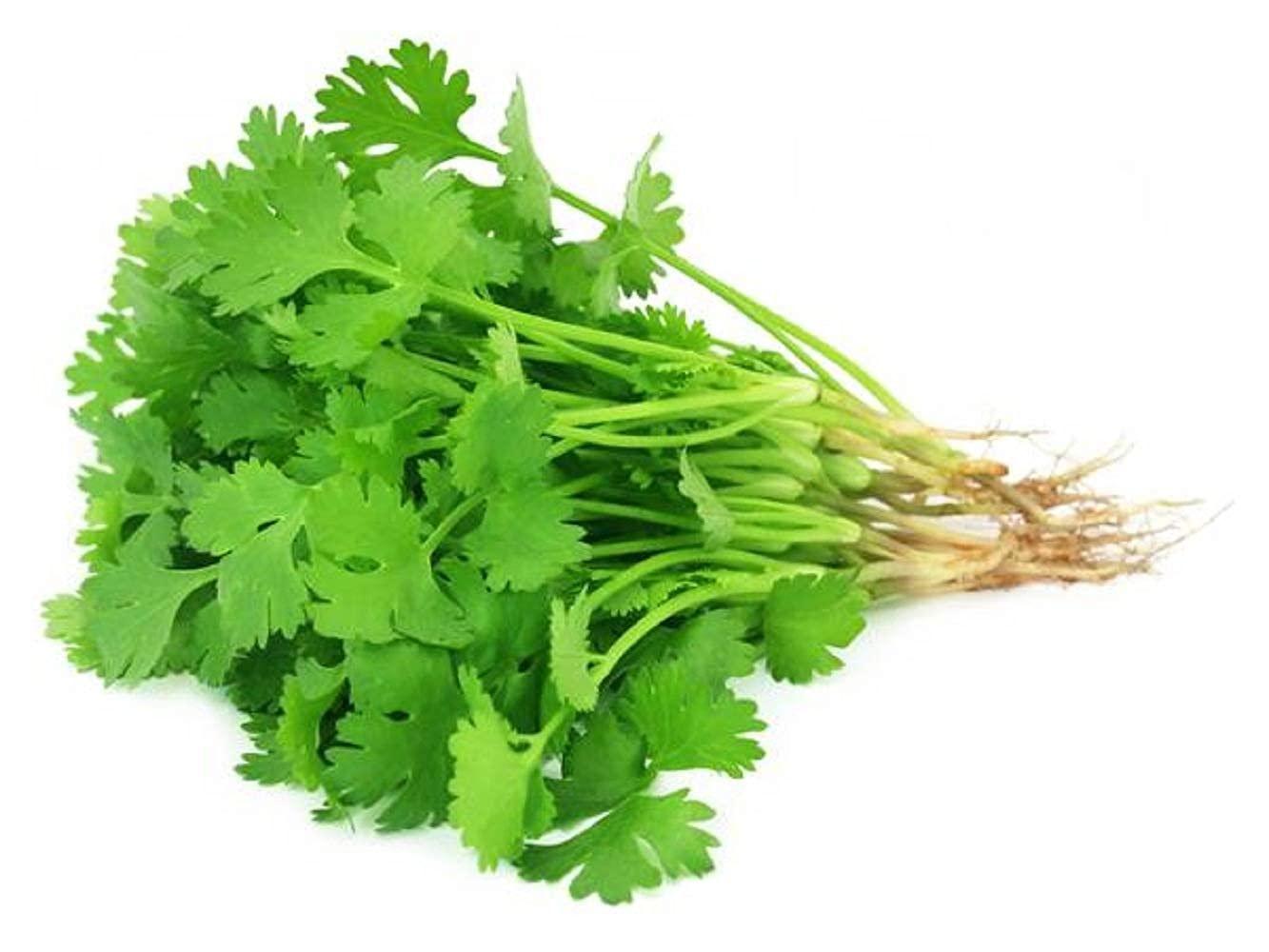 Coriander Leaves- Bunch