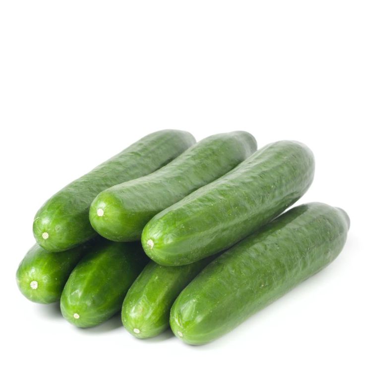 Cucumber Indian