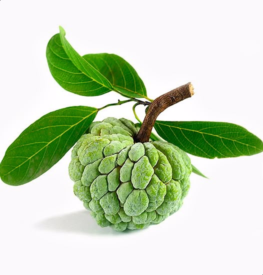 Custard Apple (Sitaphal)
