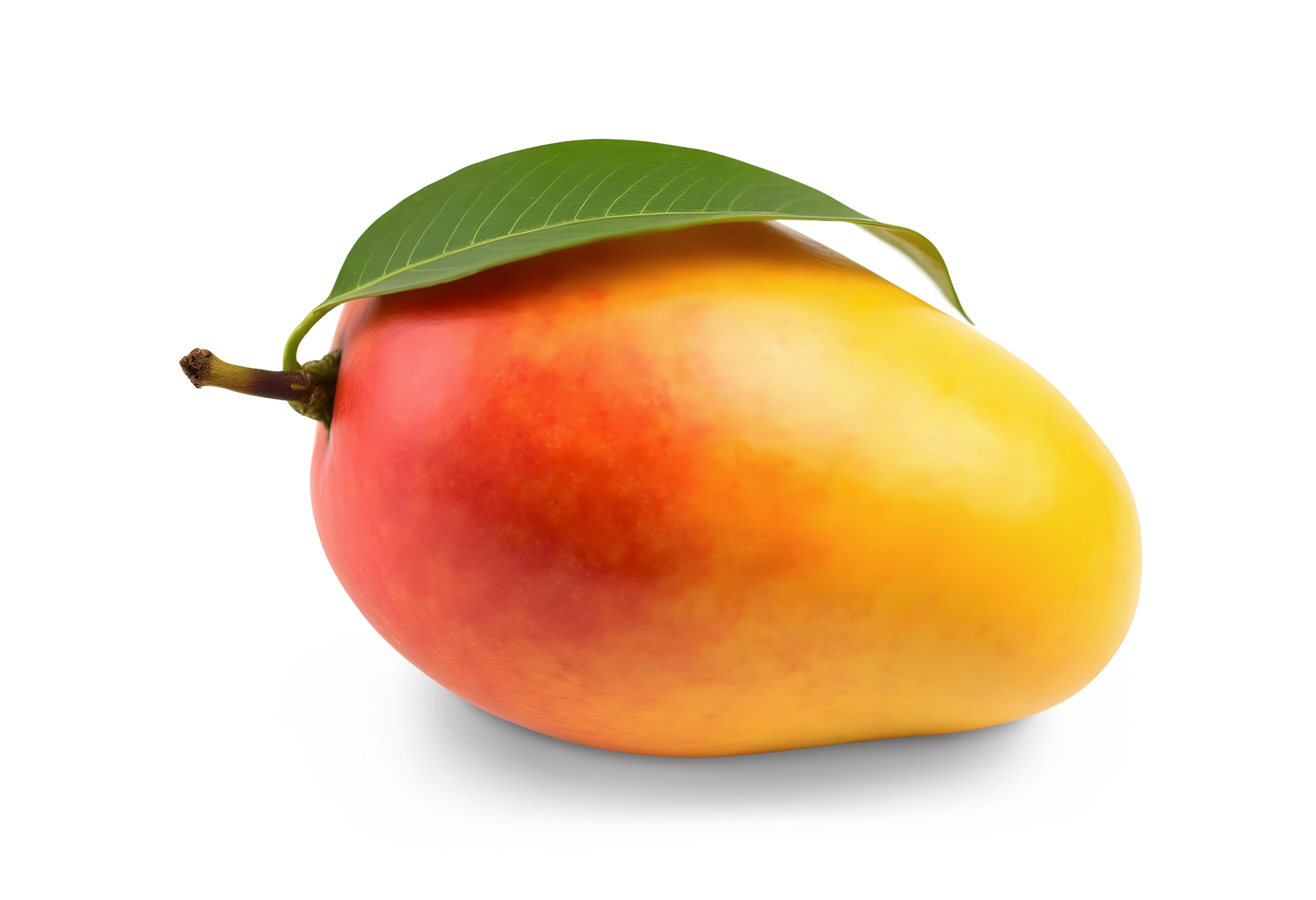 Dasheri Mango (Lucknow Special)