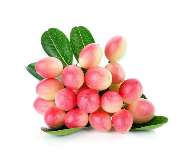Karonda (Natal Plum)
