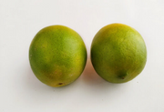 Mosambi