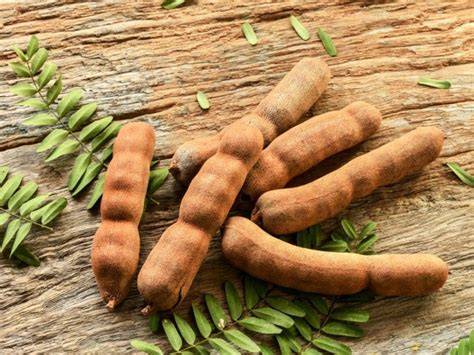 Tamarind (Imli Fresh Pods)