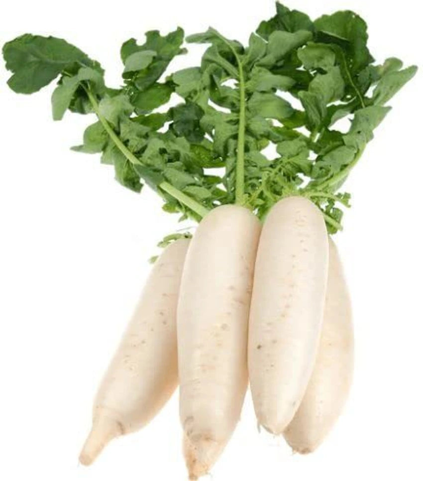Radish(Mooli)