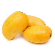 Mango (Safeda)
