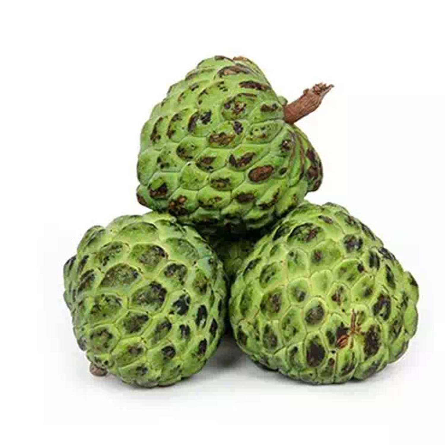 Seetaphal (Desi Custard Apple)