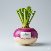 Turnip (Shalgam)