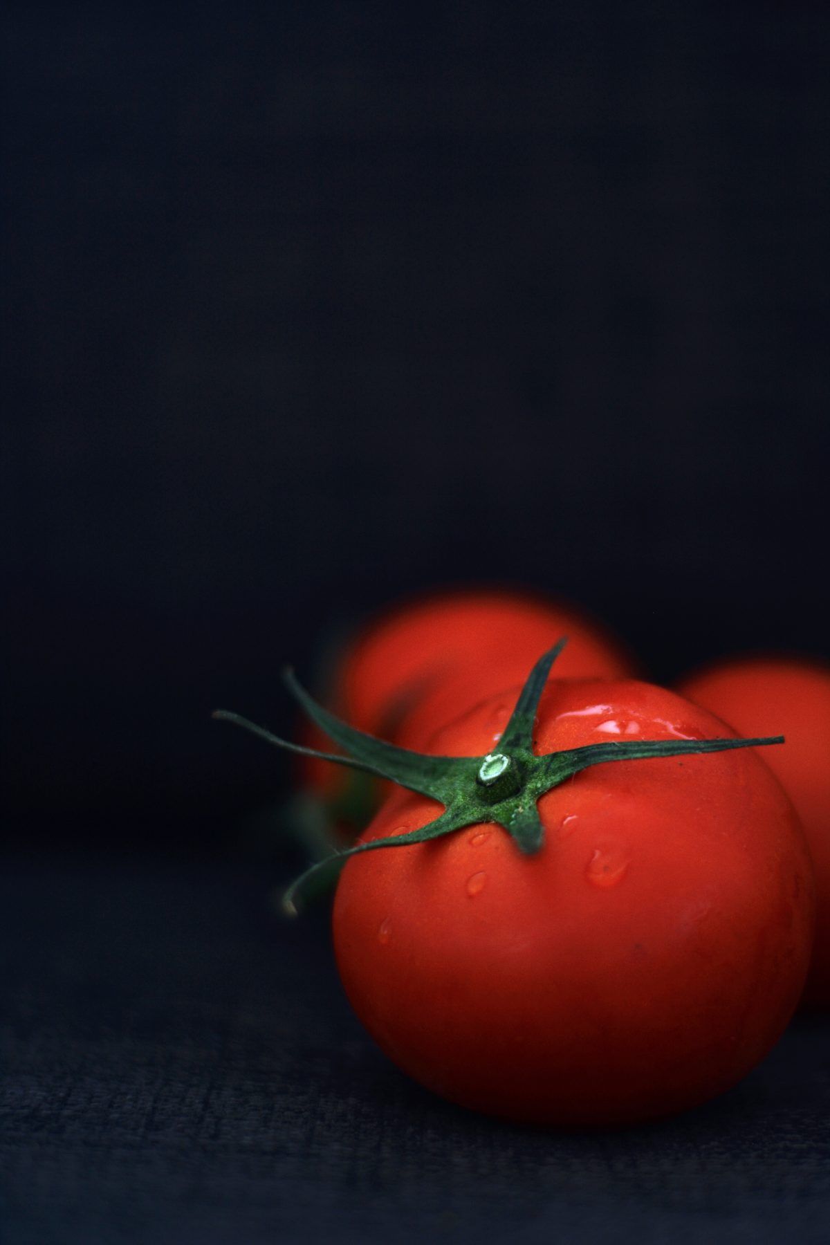 Zaphira Organic Farms