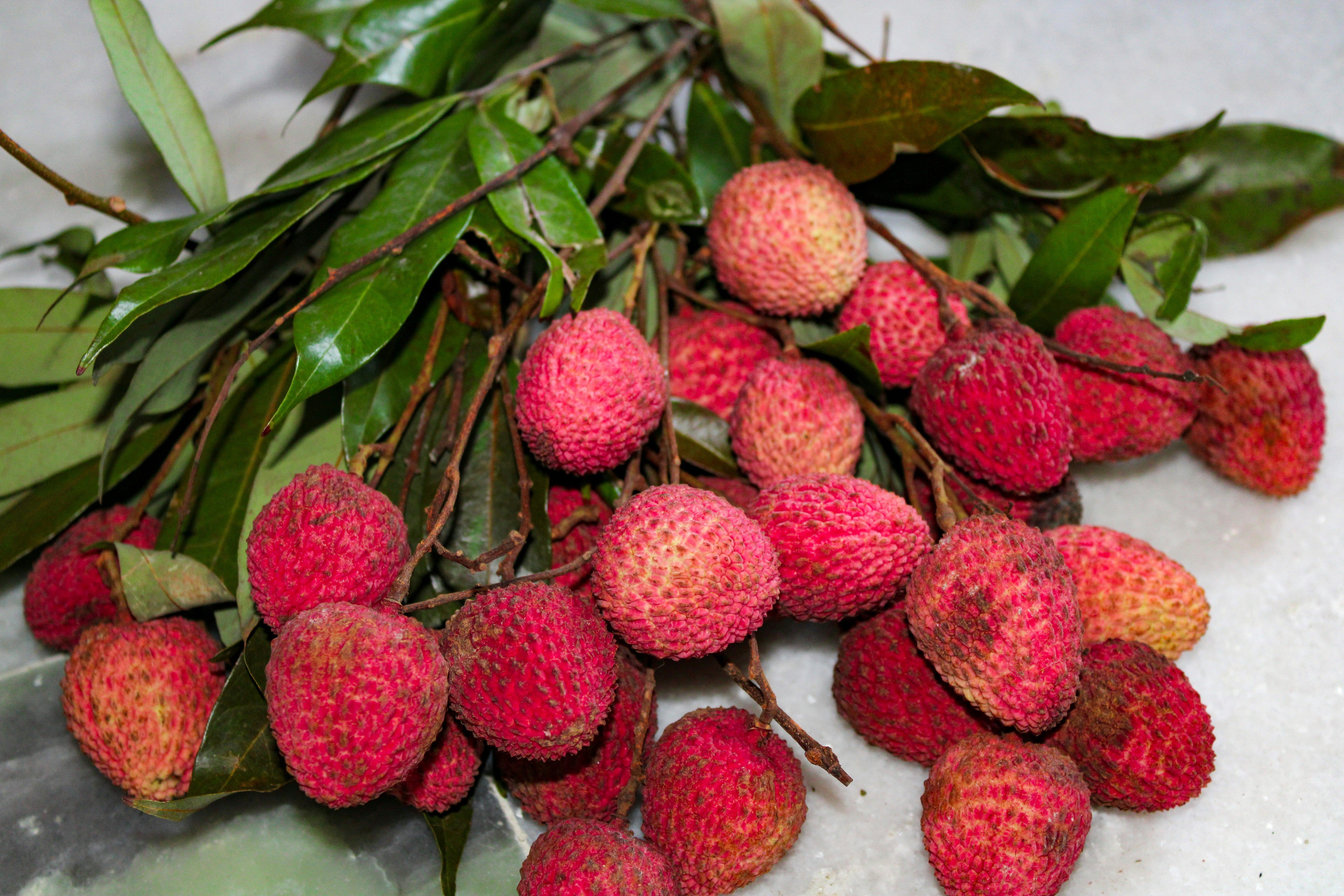 Lychee (Muzaffarpur Shahi)
