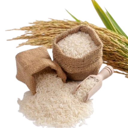 Paraben Free