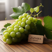 Grapes (Green)