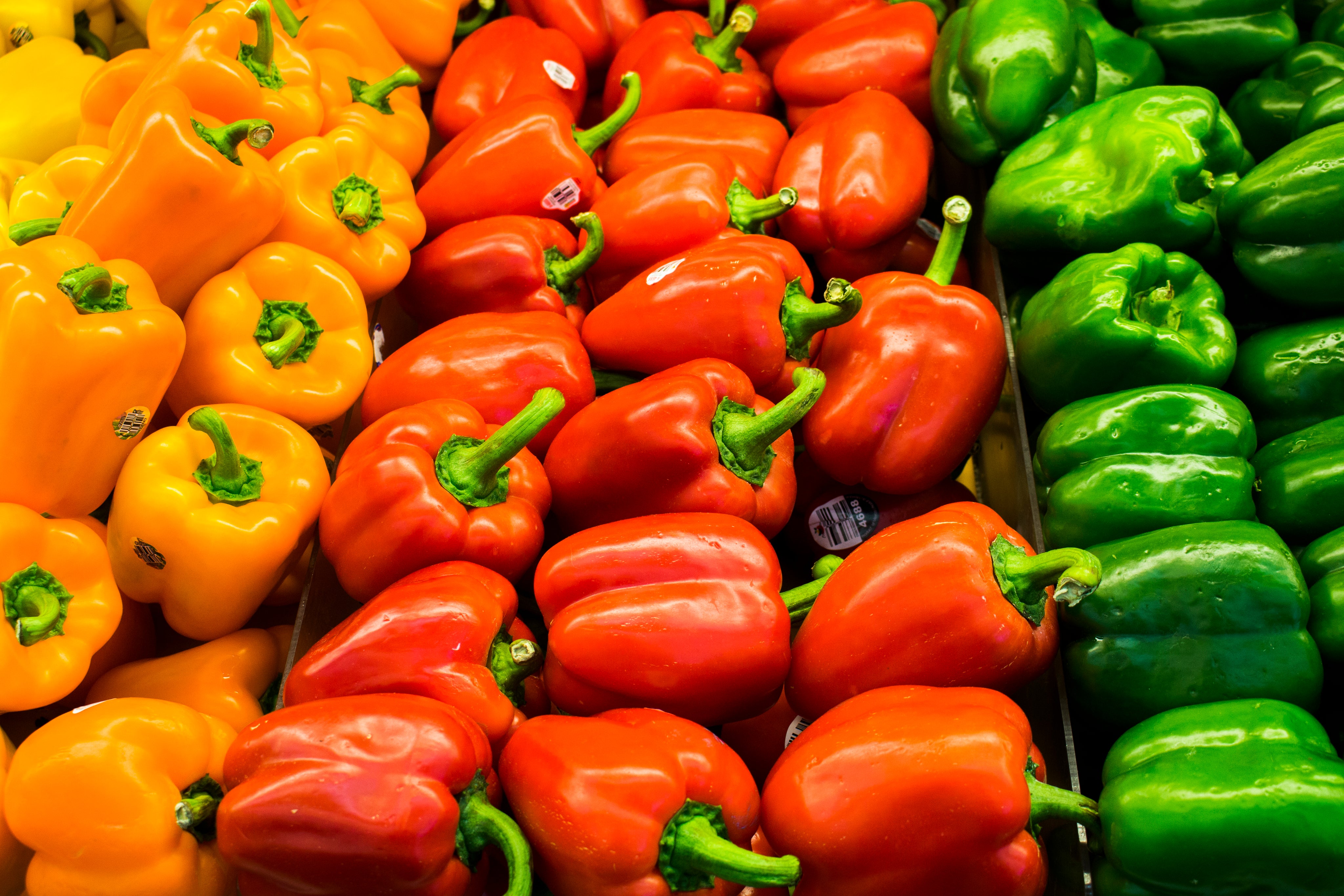 Zaphira Organic Farms