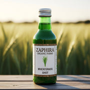 Wheatgrass Shot (60ml)